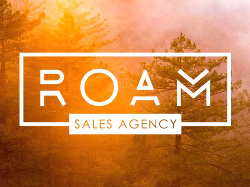 Logo and web design for Roam Sales