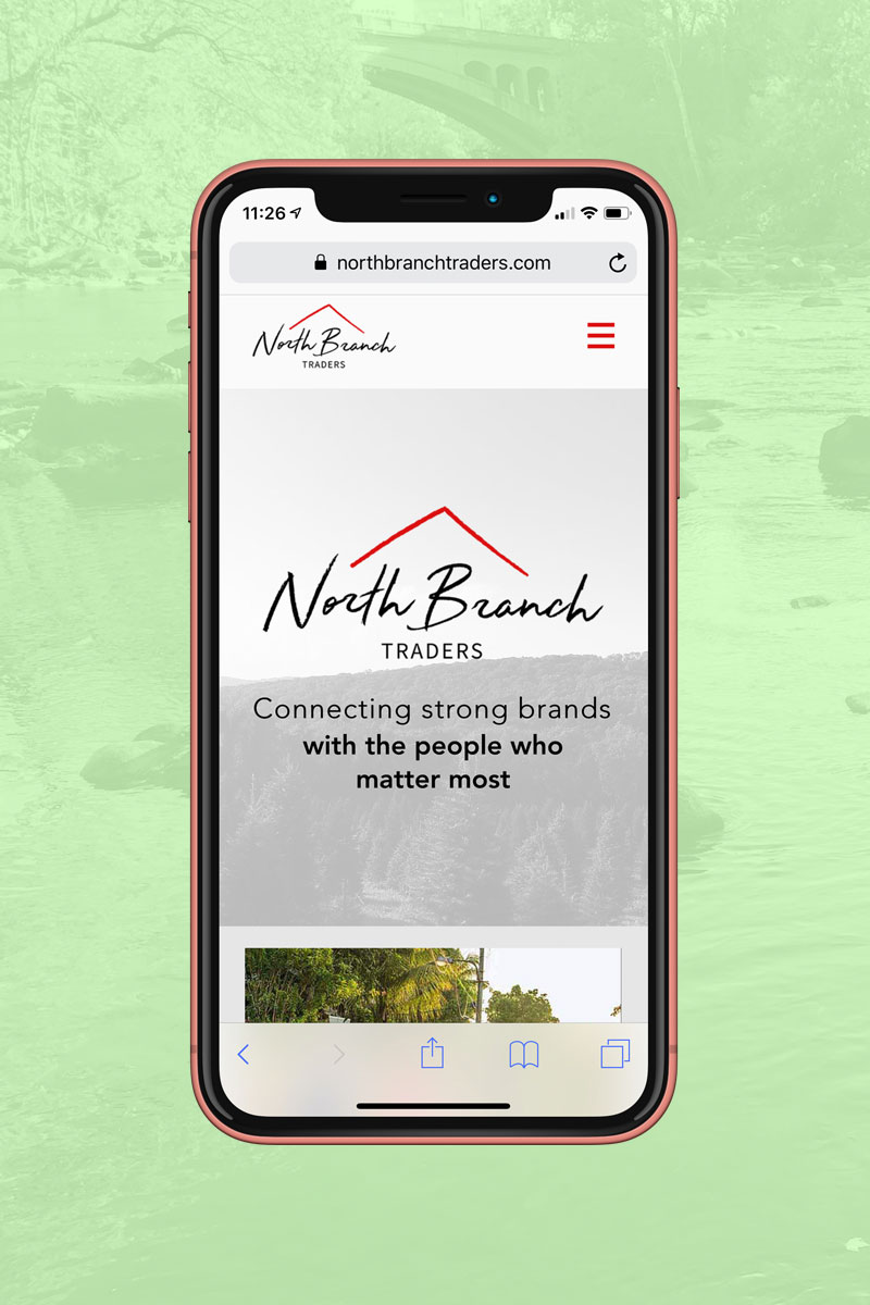 Website design for NBT
